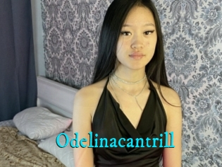 Odelinacantrill