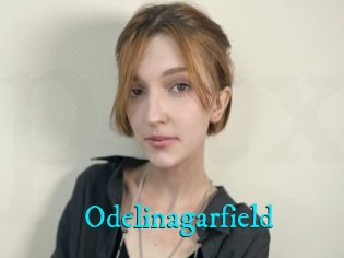 Odelinagarfield