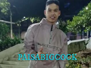 PAISABIGCOCK