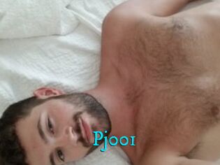 Pj001