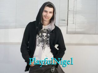 PlayfulNigel