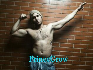 PrinceCrow