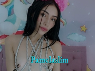 Pamelaslim