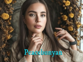Peacebunyan