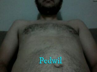 Pedwil