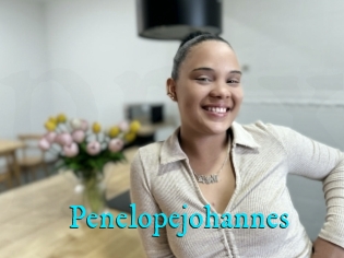 Penelopejohannes