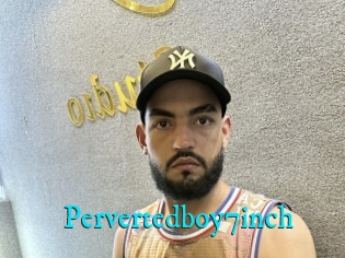 Pervertedboy7inch