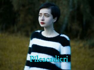 Pileacadieri
