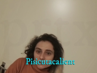 Pisicutacalient