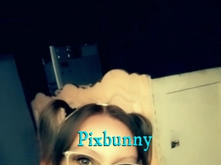 Pixbunny