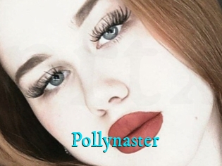 Pollynaster