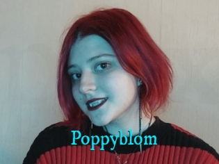 Poppyblom
