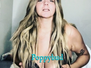 Poppybud