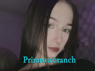 Primrosebranch