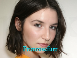 Primrosefurr