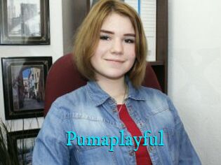 Pumaplayful