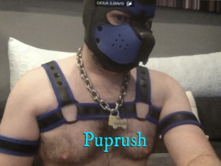 Puprush