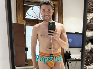 Pupstud