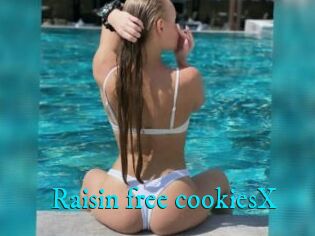 Raisin_free_cookiesX