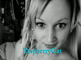 RaspberryCat