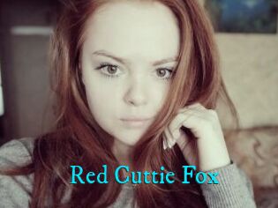 Red_Cuttie_Fox