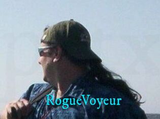 RogueVoyeur