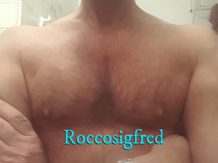 Roccosigfred