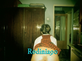 Rodinia90