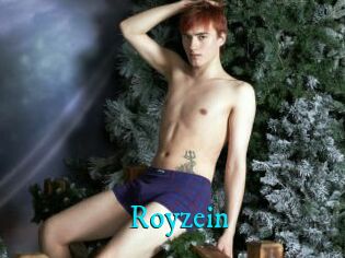 Royzein