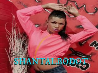 SHANTALBODOT