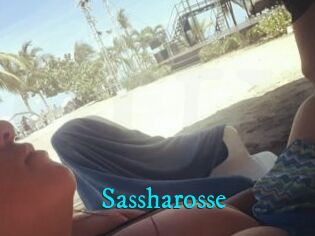 Sassharosse