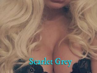 Scarlet_Grey