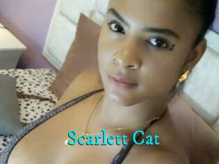 Scarlett_Cat