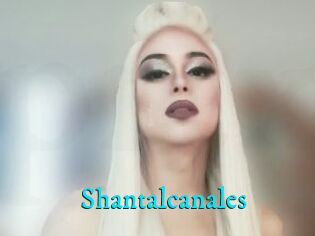 Shantalcanales
