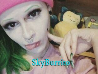 SkyBurrito