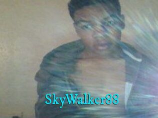 SkyWalker88