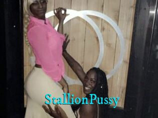 StallionPussy