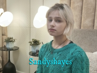 Sandyshayes