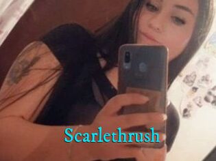 Scarlethrush