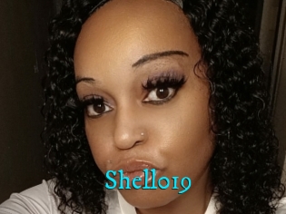 Shell019
