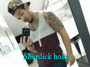 Sherdick_holes
