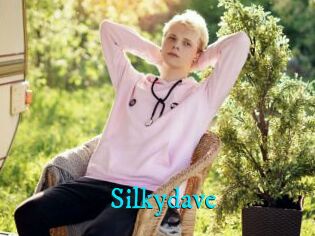 Silkydave
