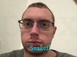 Snakefl