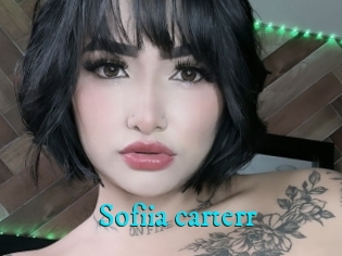 Sofiia_carterr