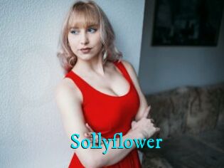 Sollyflower