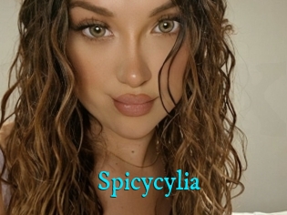 Spicycylia