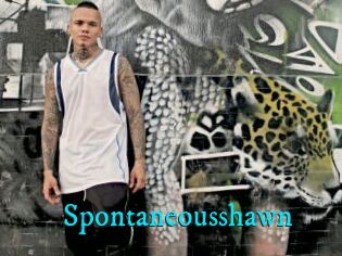 Spontaneousshawn