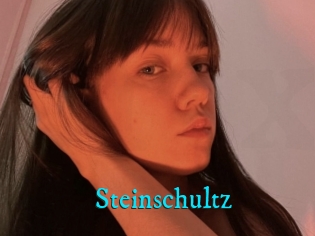 Steinschultz
