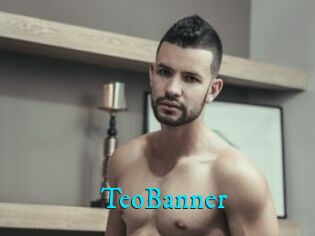 TeoBanner