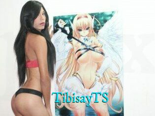 TibisayTS